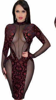 Veil Of Allure Sexy dress